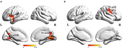 Genetic Variants of PICALM rs541458 Modulate Brain Spontaneous Activity in Older Adults With Amnestic Mild Cognitive Impairment